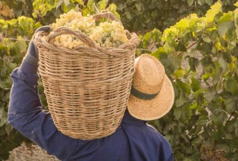 MENSAJE EN UNA BOTELLA® «Hasta un reloj parado acierta dos veces al día» Edición WHITE